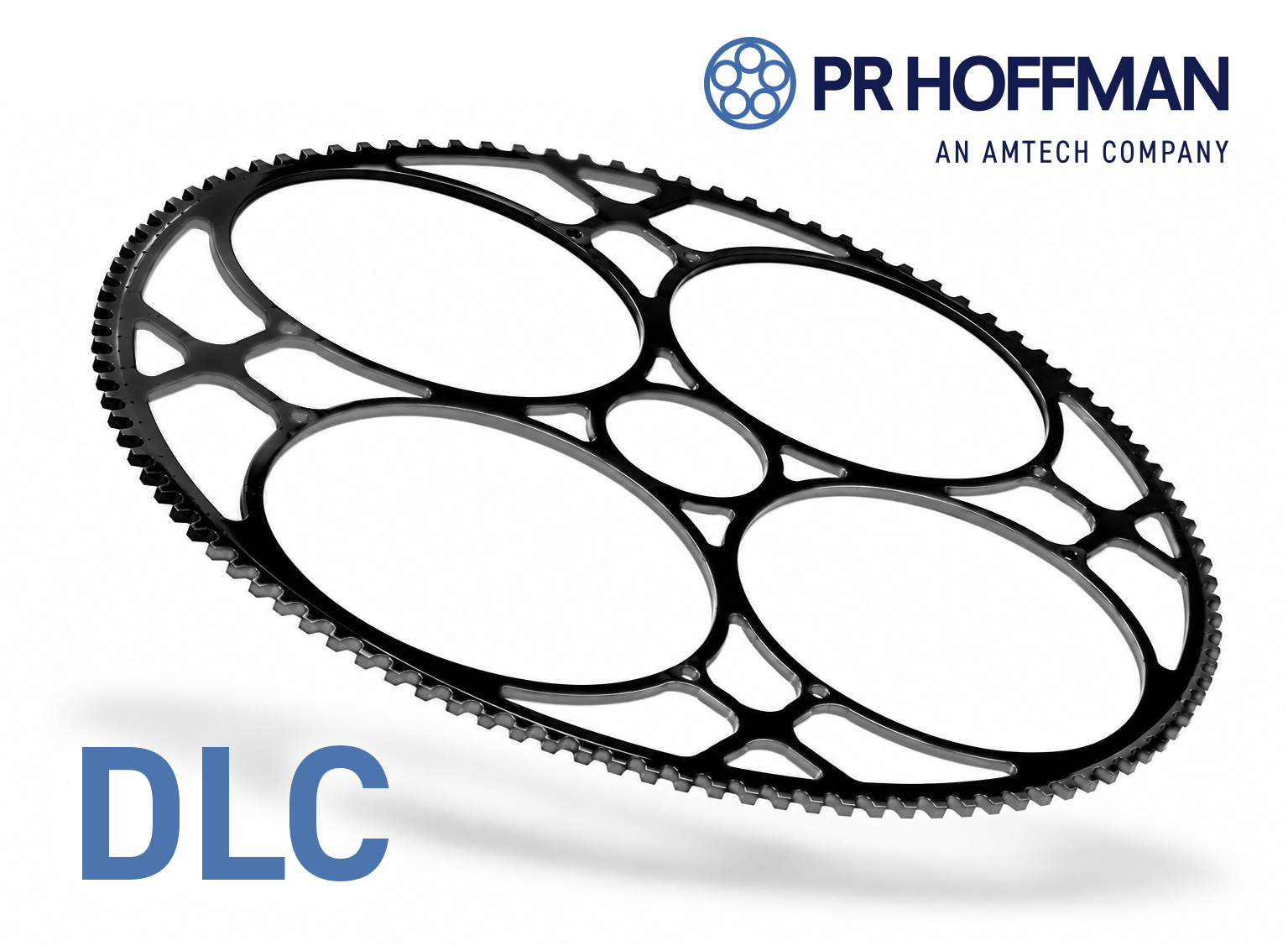 PR Hoffman Diamond-Like Coated Carrier for Advanced Wafer Polishing